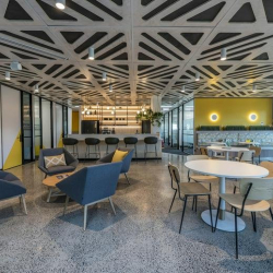 11-17 Swanson Court, Level 1