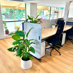 117A, Murray Street executive offices