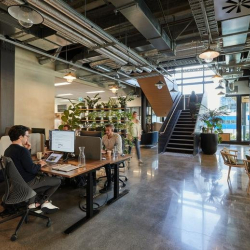 Interior of 12 Madden Street, Auckland CBD