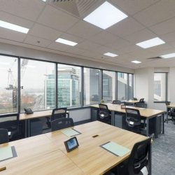 141 Walker Street, Level 12