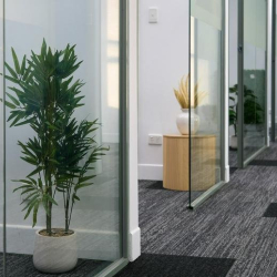 Interior of 161, London Circuit