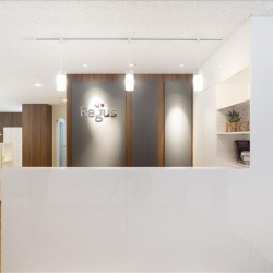 Office suite in Okinawa
