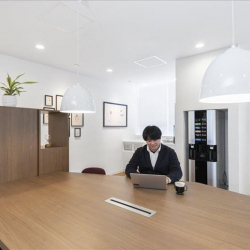 Executive suites to let in Kōriyama