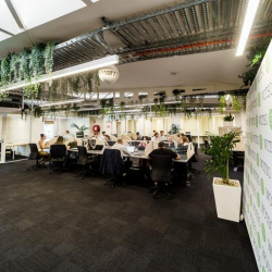 Executive office in Sydney