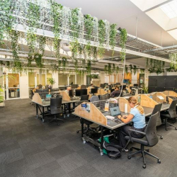 Serviced offices in central Sydney