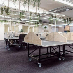 Office accomodations in central Sydney