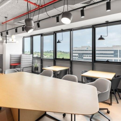 Executive office - Rechovot