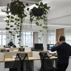 Image of Brisbane executive suite
