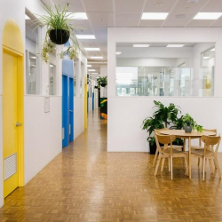 Executive office in Adelaide