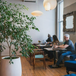 Office accomodations to hire in Auckland