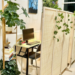 Workspace with a computer monitor, tiered wooden plant stand, and privacy divider.
