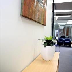Offices at 242 Hawthorn Road, Caulfield