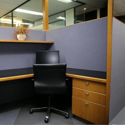 Interior of 242 Hawthorn Road, Caulfield