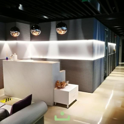 Executive suites to let in Istanbul