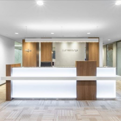 Image of Tokyo executive office