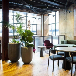 Interior of 30 Waring Taylor Street