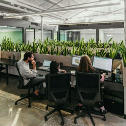 Serviced office to hire in Melbourne