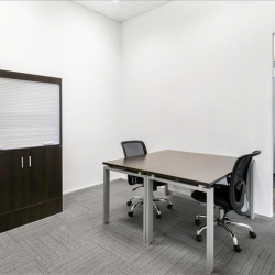 Executive office centres to rent in Beirut