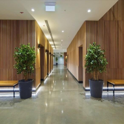 Serviced offices to lease in Melbourne