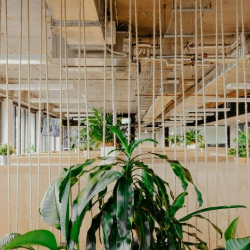 Image of Canberra office suite