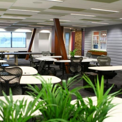 Offices at 59 Parry Steet