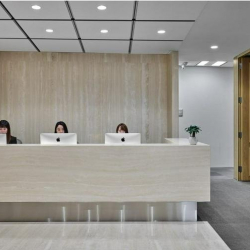 Executive office in Tokyo