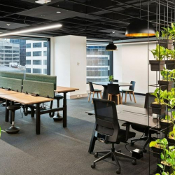 Executive suites to lease in Melbourne