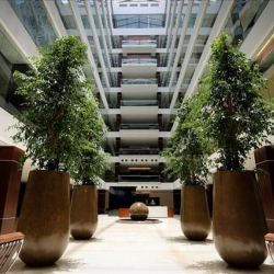 Executive office centres to rent in Jeddah
