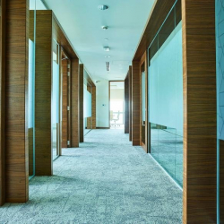 Boulevard Plaza, Tower 2, Level 22 executive suites