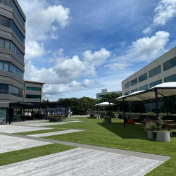 Image of Auckland office suite