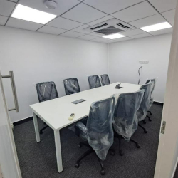 Interior of C/1, Raj Bhavan Road