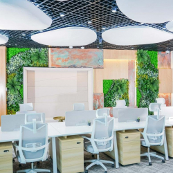 Office accomodations to let in Dubai