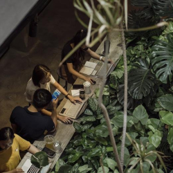 Office accommodations to let in Ho Chi Minh City