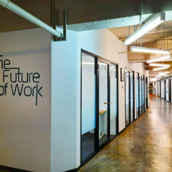 Executive office to let in Jakarta