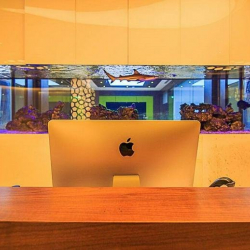 Executive offices to lease in Dubai