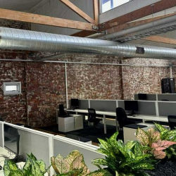 Offices at Level 1, 43-49 Buckhurst St