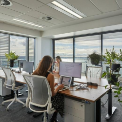 Auckland office suite