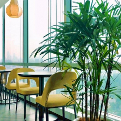 Exterior view of Level 27 Penthouse, The Centerpoint North Tower, Mid Valley City