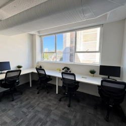 Level 6, 241 Commonwealth Street, Surry Hills office accomodations