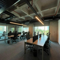 Executive suites to lease in Istanbul