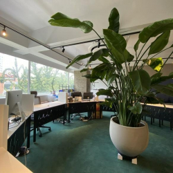 Executive office centres to lease in Seoul