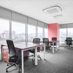 Office suites in central Istanbul