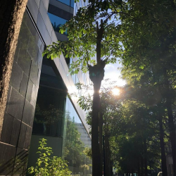 Taipei executive office