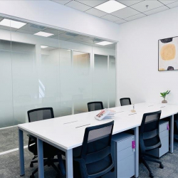 Executive suites to let in Shanghai