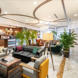 Executive office in Tokyo