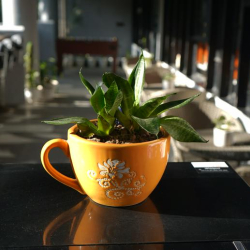 Office accommodation to hire in Chandigarh