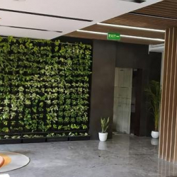 Executive suites in central New Delhi