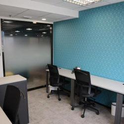 Open-plan desks along a teal patterned feature wall.