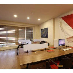 Executive offices to hire in Istanbul