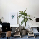 Office accomodation in Sydney. Click for details.